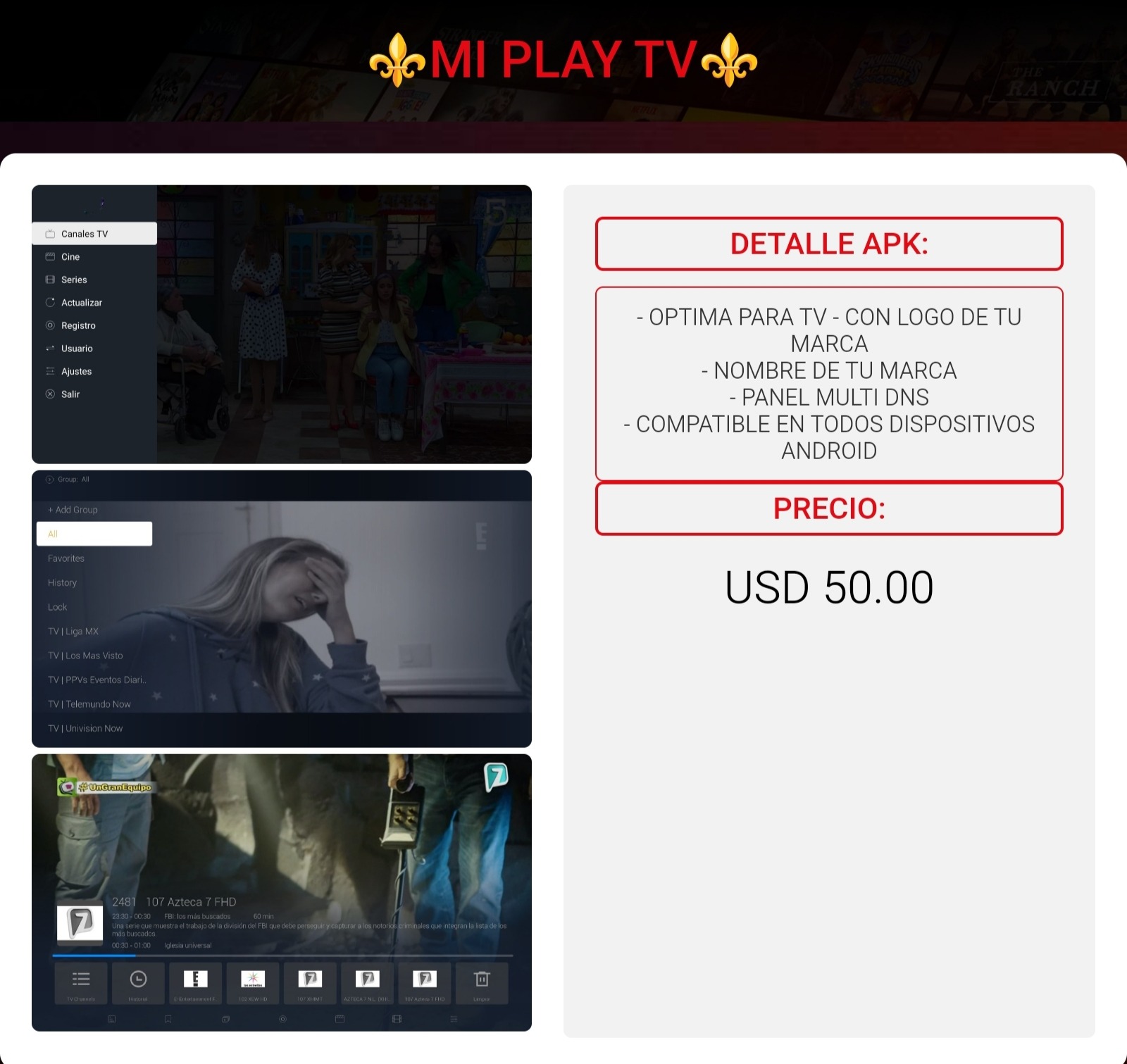 Referencia visual de MI PLAY TV